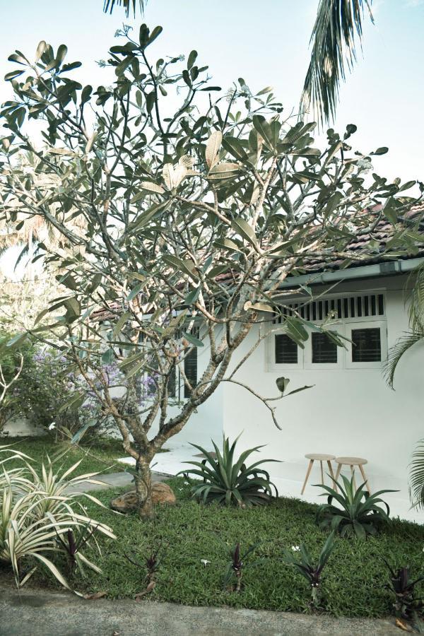 Hôtel Casa Gitano à Ahangama Extérieur photo